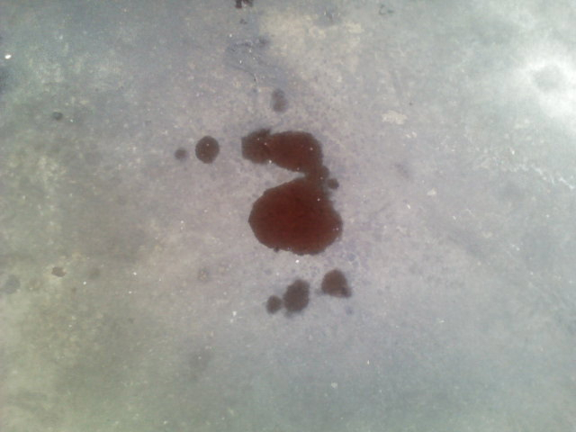 The puddle of fluid under the car when we lifted it into the air.