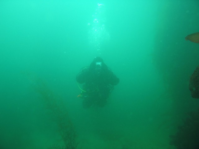 Alex hanging in the water column taking a photo of me taking a photo of him.