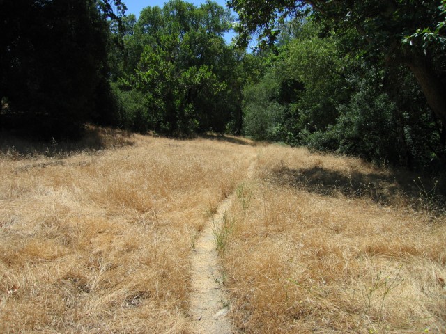 We followed a pretty trail by the creek back to our car and out of Little Yosemite.