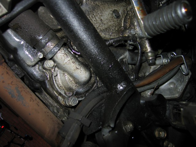 Honda pc800 oil leak #3
