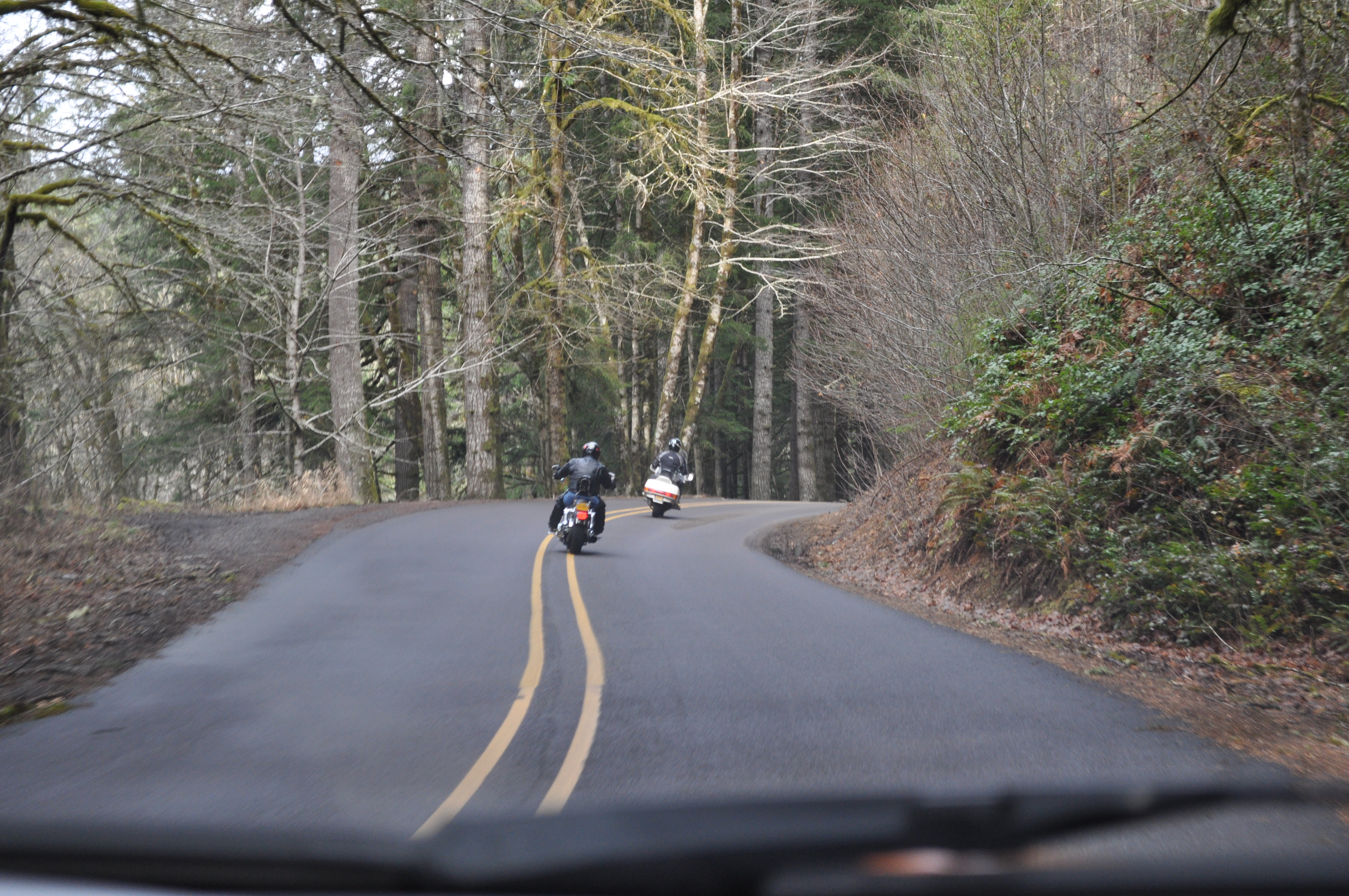open roads for motorcycle in forest land washington