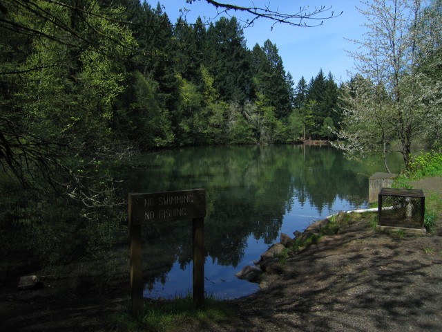 Peavy Arboretum Bushwhacking – Not Your Average Engineer