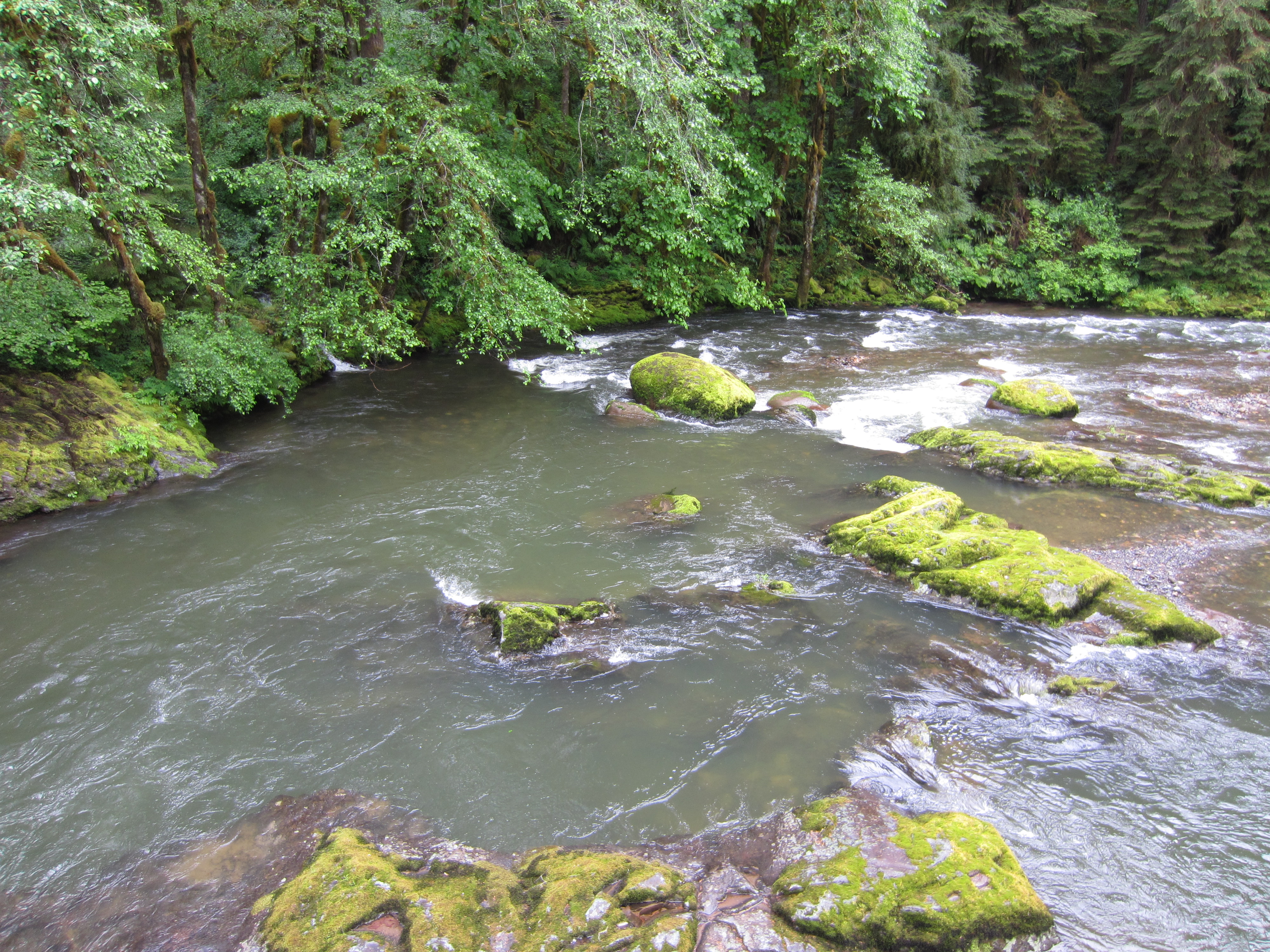 South Santiam River – Not Your Average Engineer