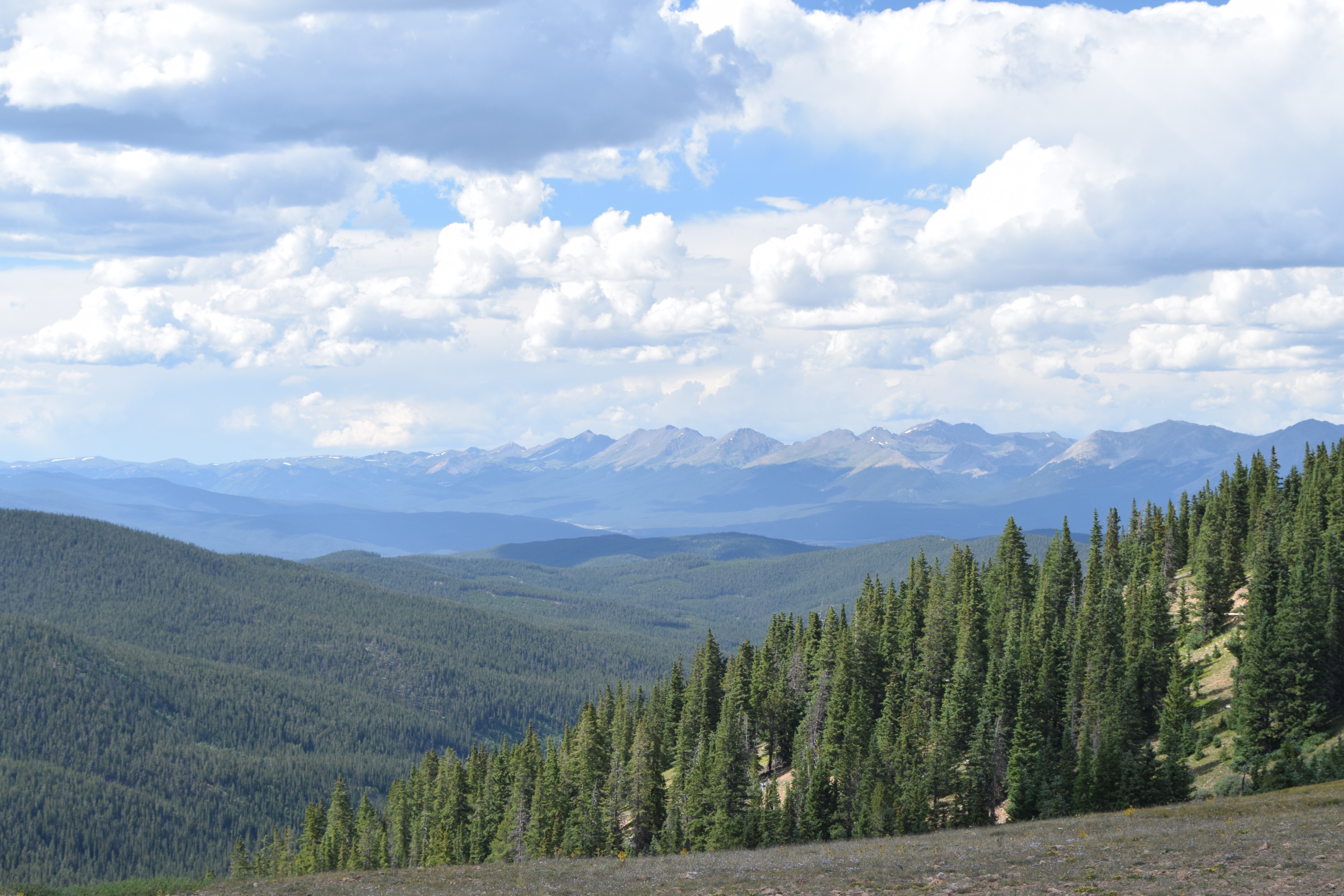 Tin Cup Pass Not Your Average Engineer