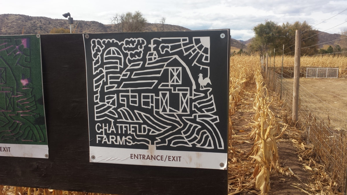 A Colorado Corn Maze – Not Your Average Engineer