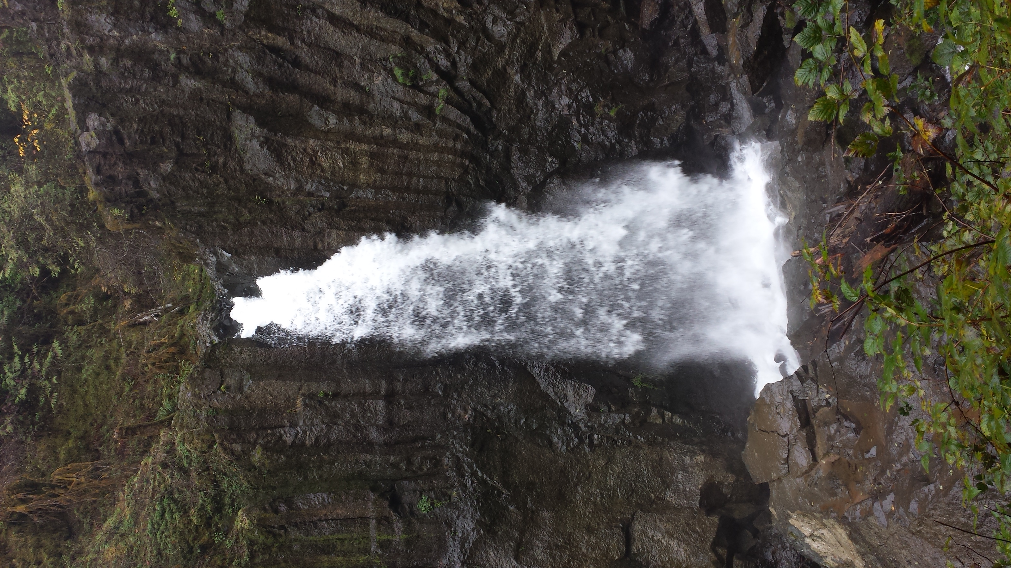 Drift Creek Falls Suspension Bridge – Not Your Average Engineer