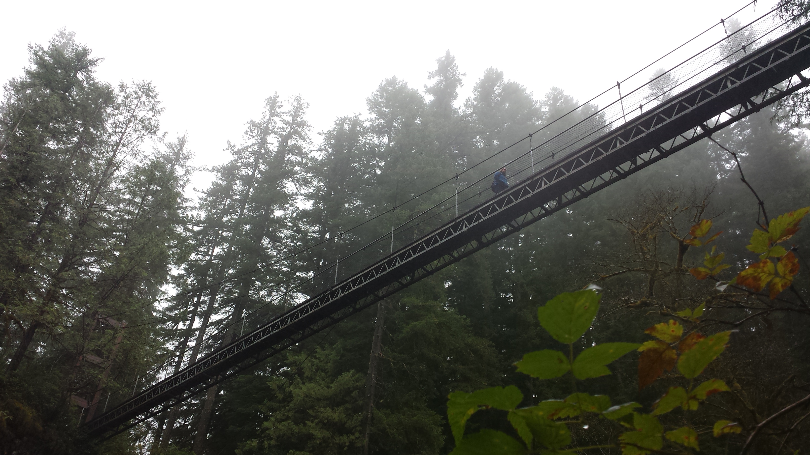 Drift Creek Falls Suspension Bridge – Not Your Average Engineer